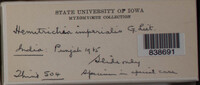 Image Associated With the Occurence